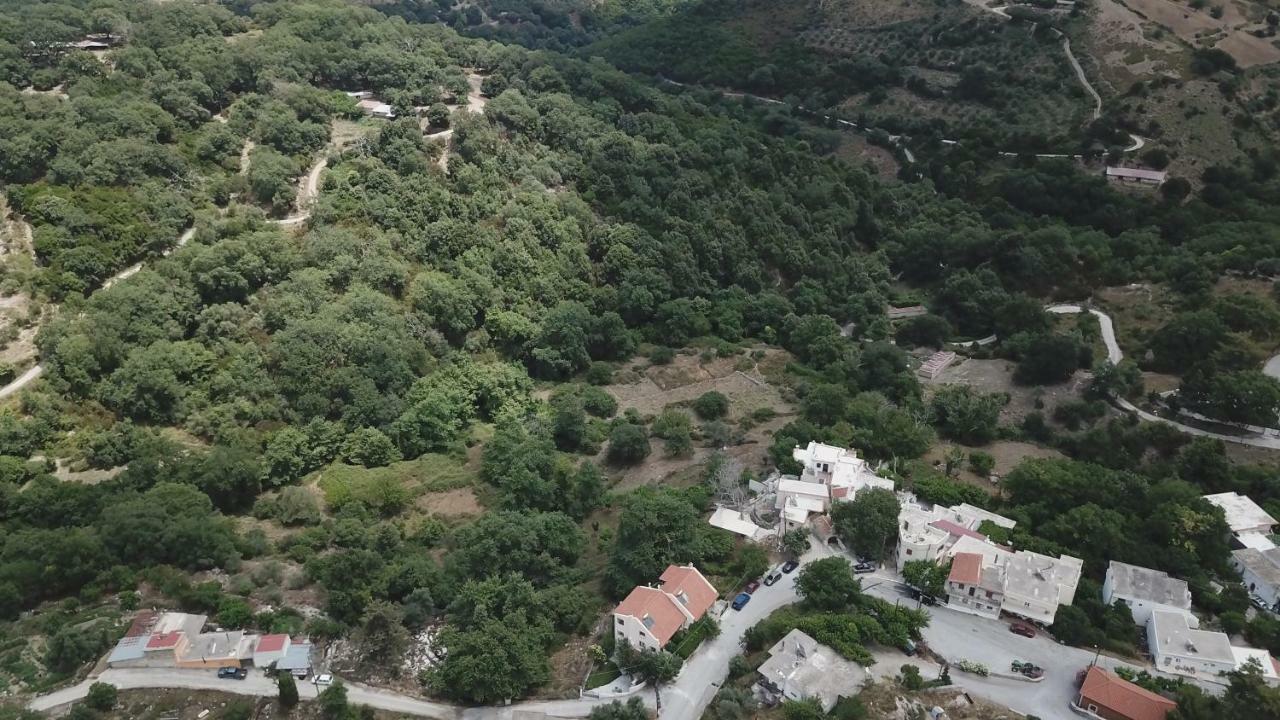 Irini΄S House Villa Alonai Eksteriør billede